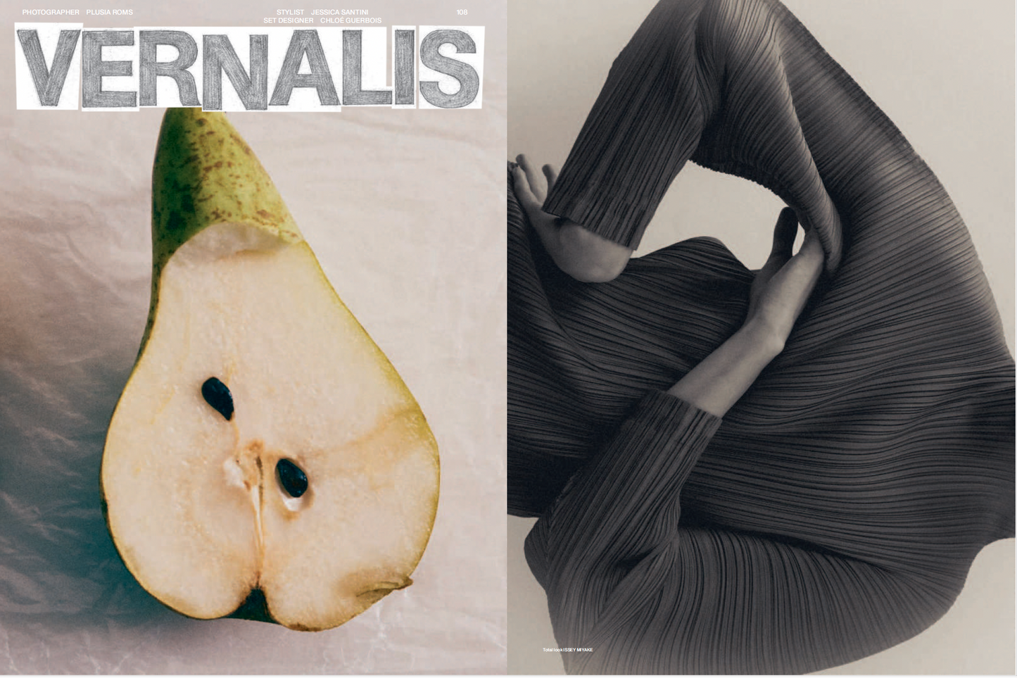 Whatevr Fanzine  Issue 14  SEEDS / The Origins - SS26